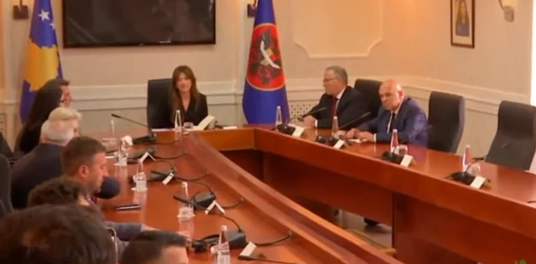 Kosovoは6月7日(金)に投票します。U.d.議長のHadziuとの会合の後に宣言された政治党の代表者は、