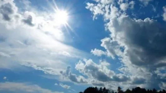 明日の天気予報