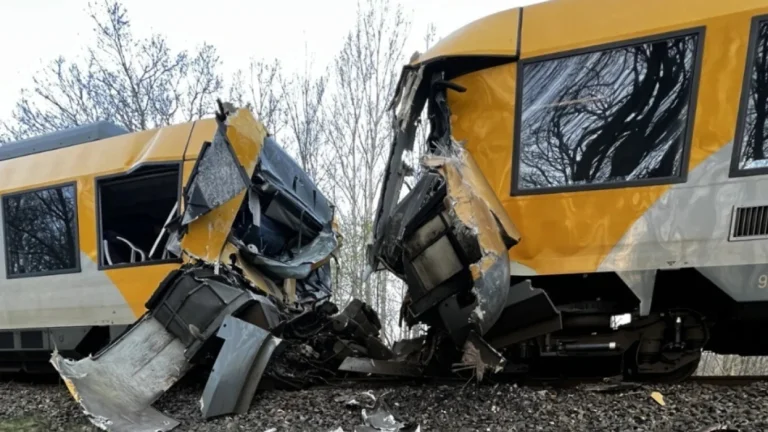 2つの列車は直面する、デンマークで負傷した