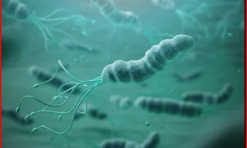 Spitting test on early discovery of stomach cancer