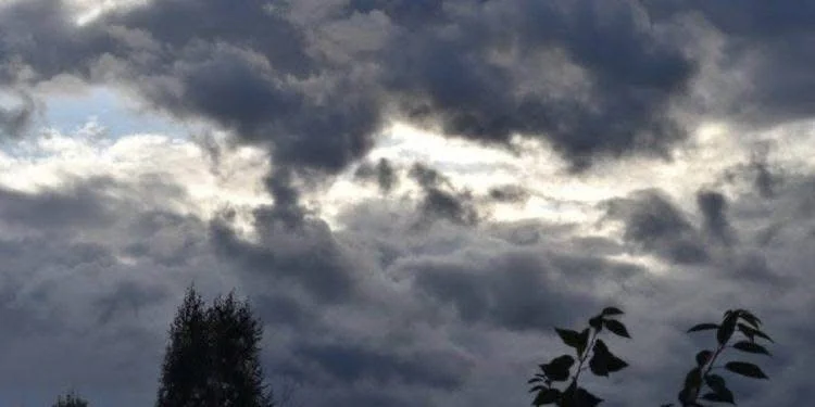 Weather For Tomorrow