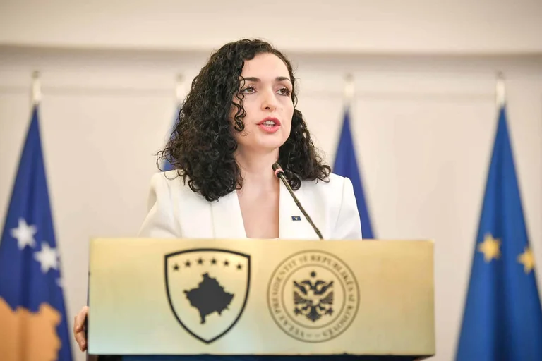Hasani מגלה שלושה שמות שיכולים להביס את ווג'וסה אוסמן בבחירות לנשיאות