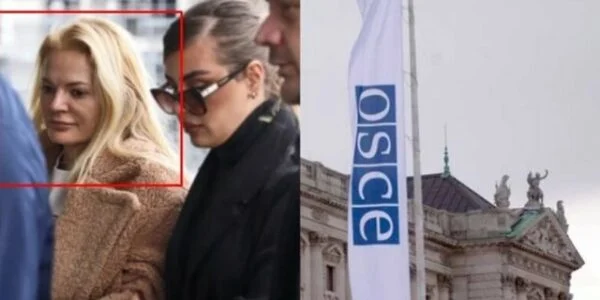 Cazul spionării oficialului OSCE, Apel proclamă dovezi acceptabile ale găsirii telefonului ei