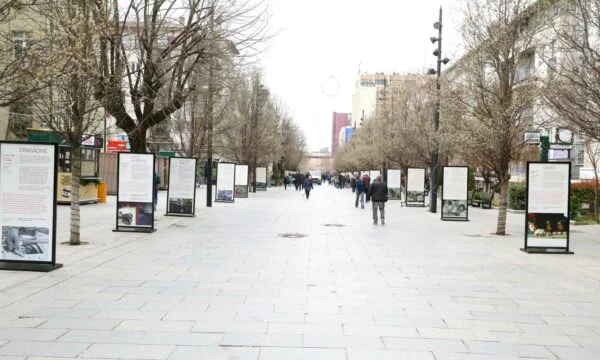 ベテランの抗議: 展覧会、マッサージ師のマッサージ師