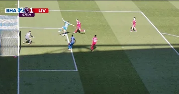 Brighton stellt Überlegenheit gegenüber Liverpool wieder her (VIDEO)