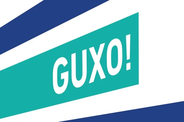“Lista Guxo” garon e vetme në Ferizaj