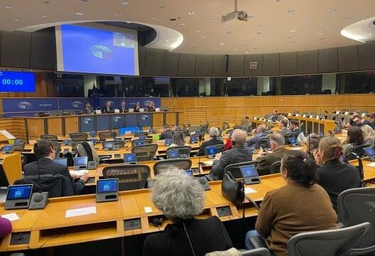 Infracţiunile de viol din timpul războiului din Kosovo au fost reprezentate la Parlamentul European la Bruxelles
