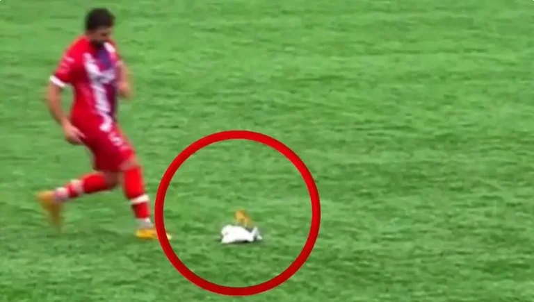 Mare în fotbal: Jucătorul salvează pescăruşul care a fost lovit de portar