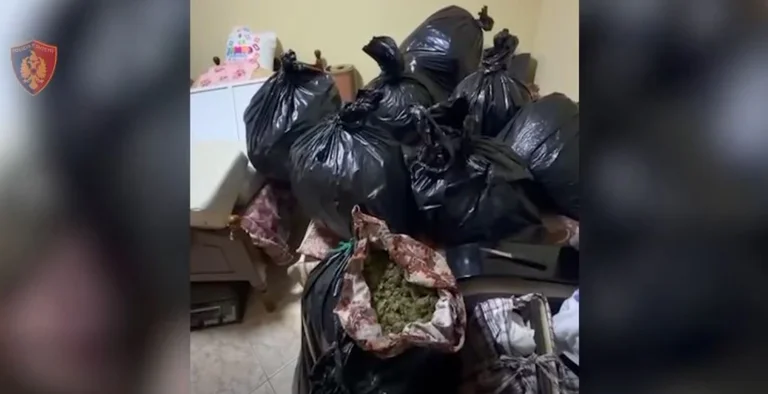 Μεγάλη αστυνομική δράση στη Vlora, περίπου 57 κιλά κάνναβης που κατασχέθηκαν