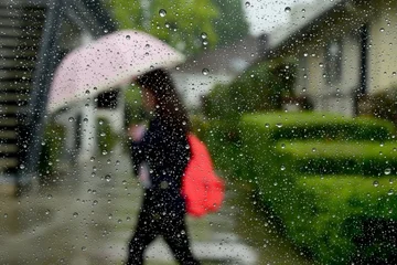 今日の天気