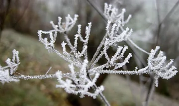 明日の気温と降雪に敏感な低下