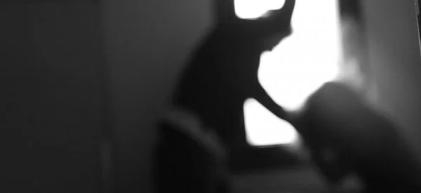 Şapte cazuri de violenţă domestică în 24 de ore