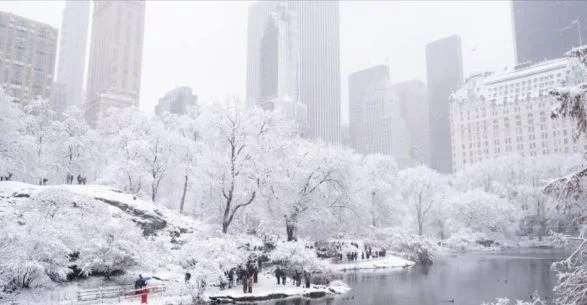New York'ta aşırı soğuk 18 kurban bırakıyor