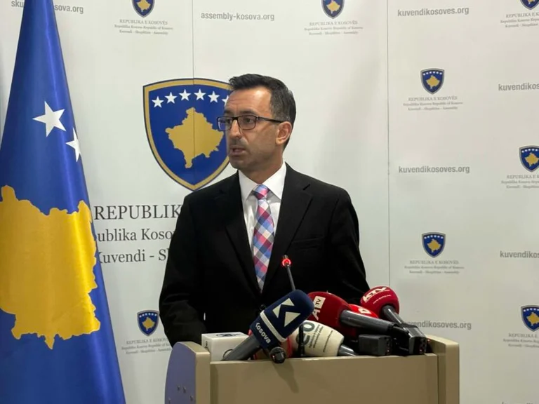 Basha: Podpredsedniki bodo jutri glasovali v paketu, obravnava pa bo 17.