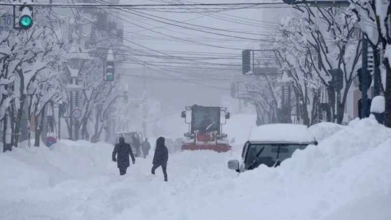 Japonya'da ağır kar yağışları, en az 45 ölü