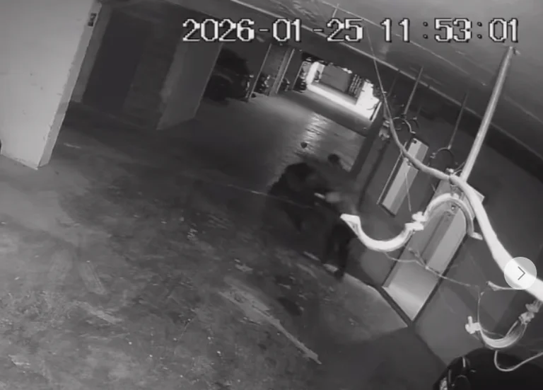 Bazı küçükler bir konut nesnesi (VIDEO)