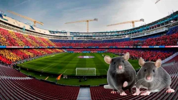 Schockierende Sicht auf Barcelona Stadion: Mäuse “hang tanzen” auf dem Feld nach starkem Regen
