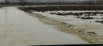 降雨後の年の都市:制御下の状態