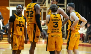 KB Drzewo jest eliminowane przez EnBL, klub poważnie ukarany