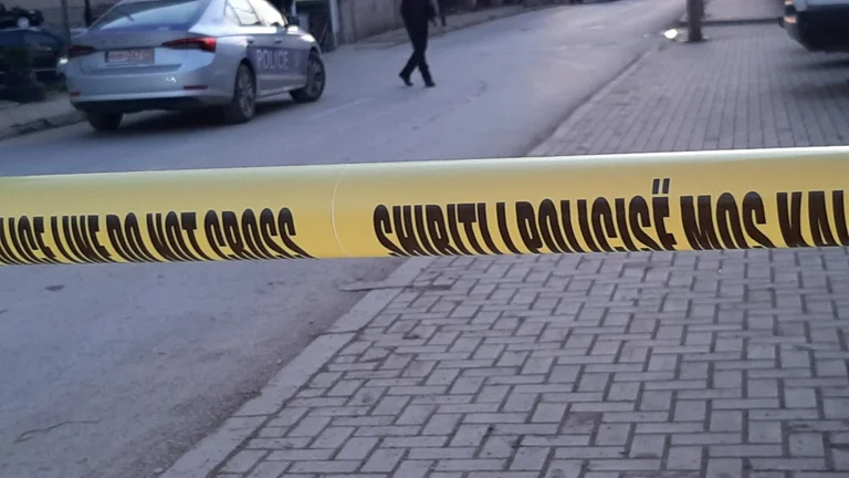 Kërkohet paraburgim për djalin që dyshohet që vrau nënën e tij në Restelicë