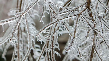 Hladno in mrzlo vreme jutri, najnižje temperature do devet.