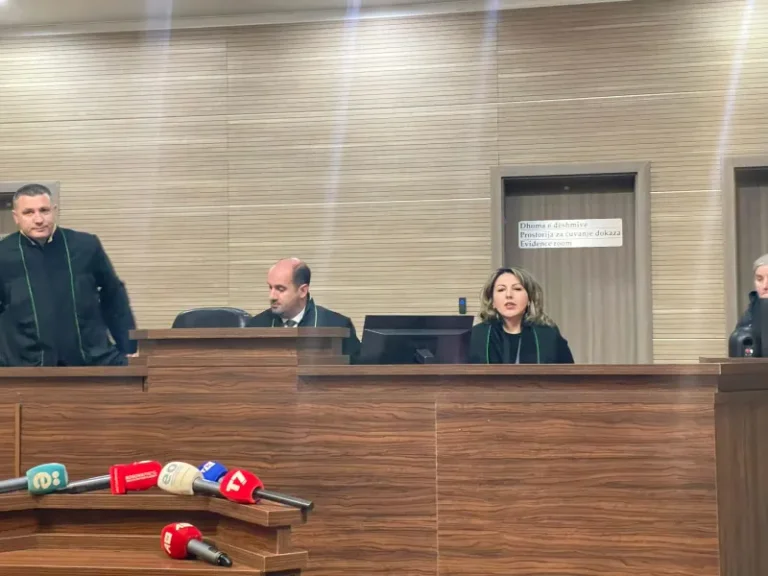 Bliźniaczka zabita podczas wojny wymaga wiecznej kary dla Milosa Pleskowicza.