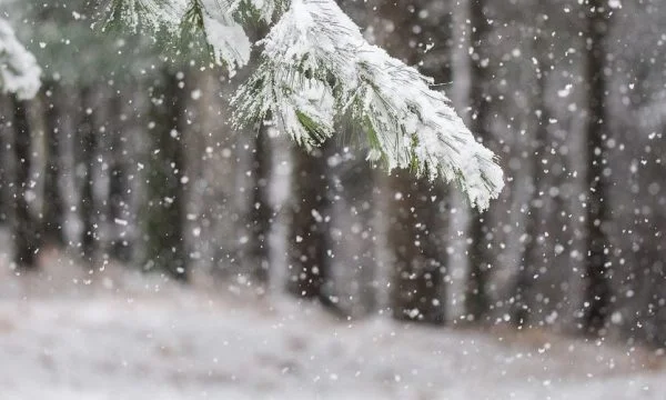 Zimny, pochmurny dzień niewielkiego słońca