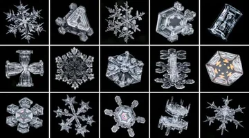 Why do snow fillos have different shapes?