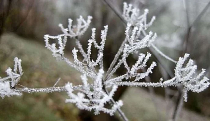 Weer morgen in Kosovo