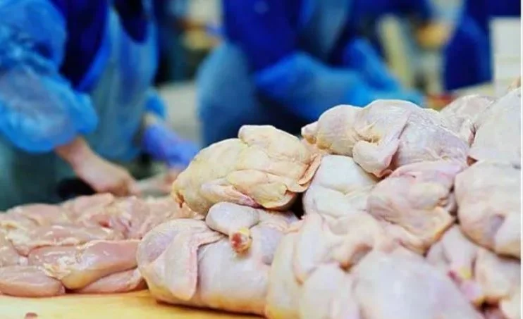 Az AUV kizárja a Lengyelországból importált csirkét