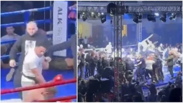 Grecki sportowiec pobił dziko w Serbii wraz ze swoim trenerem, dlaczego pokonał swojego rywala