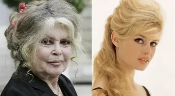 Brigitte Bardot, 프랑스 영화관 아이콘은 나이 91에 생명을 변화시킵니다.