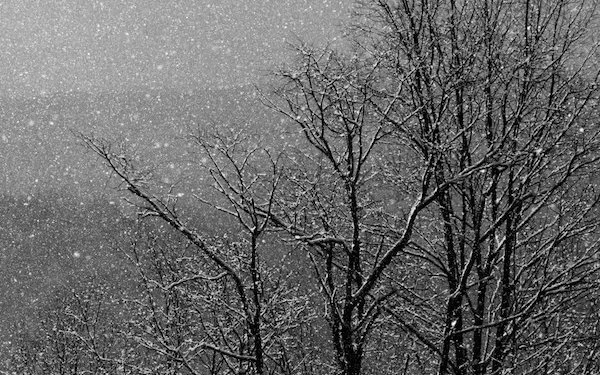 Temps de neu i pluja per avui