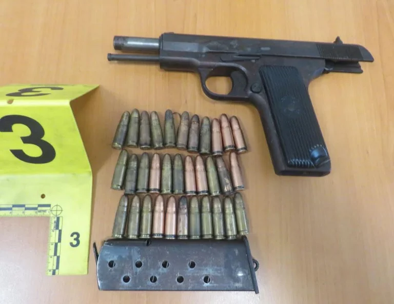 73 anys, a Lapusnik, arrestat per danys als mobles. La policia agafa tres armes.