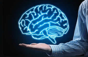 Science says: The brain does not mature fully before the age of 32