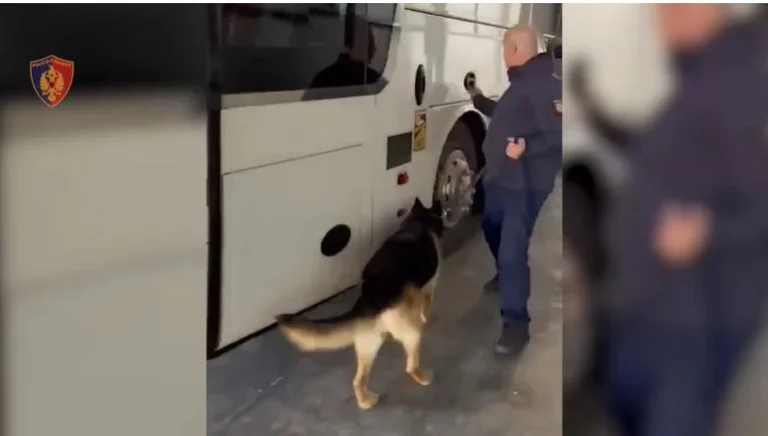 Narkotyki, broń, biżuteria i 29 tysięcy euro skonfiskowane w porcie Durres