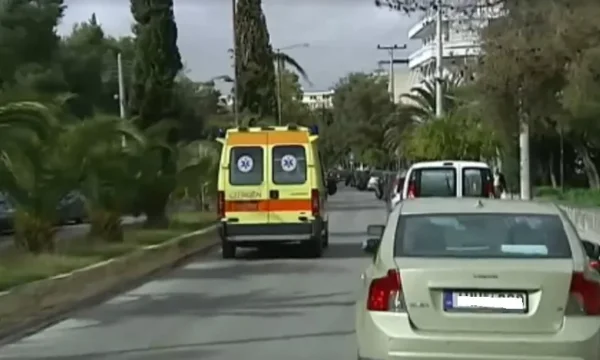 Arka bahçesinde oynamak, köpek 2 yaşındaki Arnavut ölümüne saldırıyor