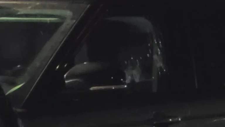Einzelheiten: Der Geschäftsmann wurde mit drei Kugeln erschossen, als er ins Auto kam.