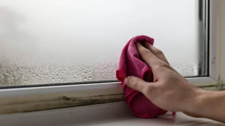Two components that will remove mold and condensation from windows
