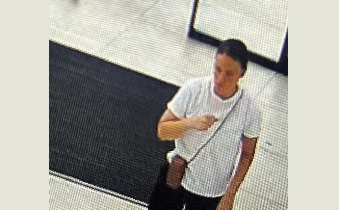 La polizia cerca aiuto dai cittadini nell'apprendista questa donna