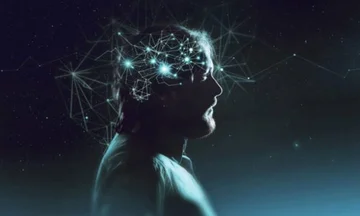Study: The human brain fails to mature until age 32