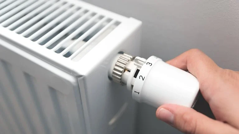 מדוע תחזוקה סדירה של קרינה חשובה? ככה לנקות אותם כראוי