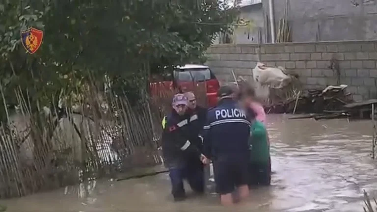 מבול באלבניה, כולל כוחות הביטחון הלאומי וכוח דלתא.