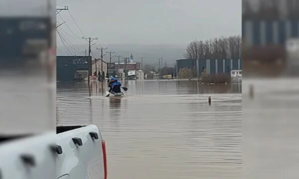 צוות KED אוסר על סירות לתקן את רשת החשמל ברחוב פרז'