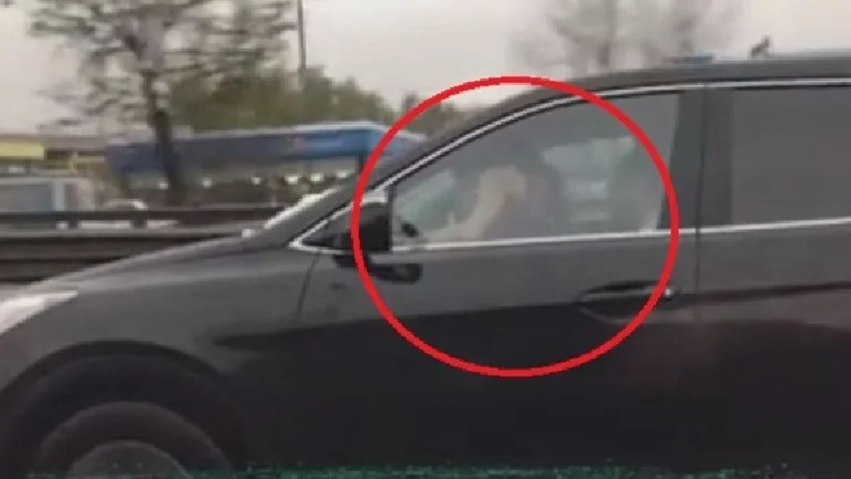 Çifti nuk përmbahet, bëjnë s*eks në makinë duke vozitur në 140 km/orë – Policia ua ndal kënaqësinë