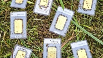 Lucky Nemčija najde zlate palice vredne 30 tisoč evrov, medtem ko kosi travo
