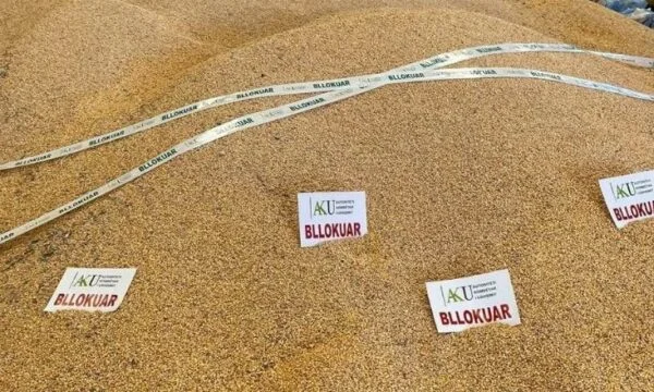 Albánia 25 tonna, Szerbiából származó, africitással rendelkező kukoricát blokkol