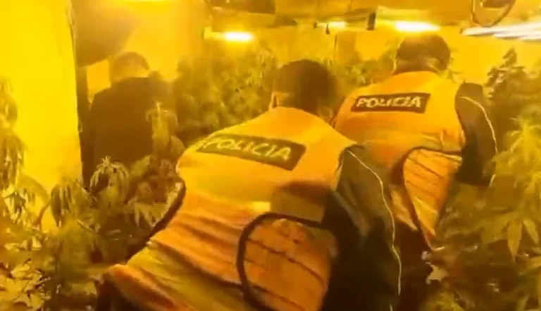 “felfedezett barhouse” Shkodrában, két unokatestvér letartóztatva, harmadik megjelenésű