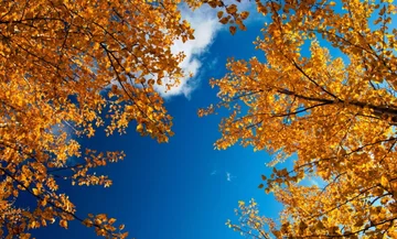 Vreme danes: sončno in toplo