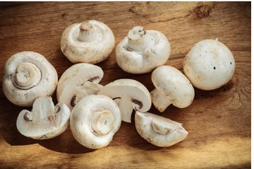 Seven Ways in Which Mushrooms Can Improve Your Health